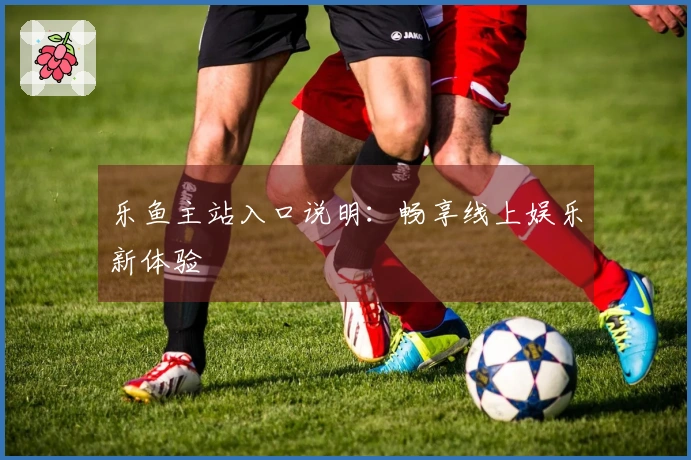 乐鱼主站入口说明：畅享线上娱乐新体验