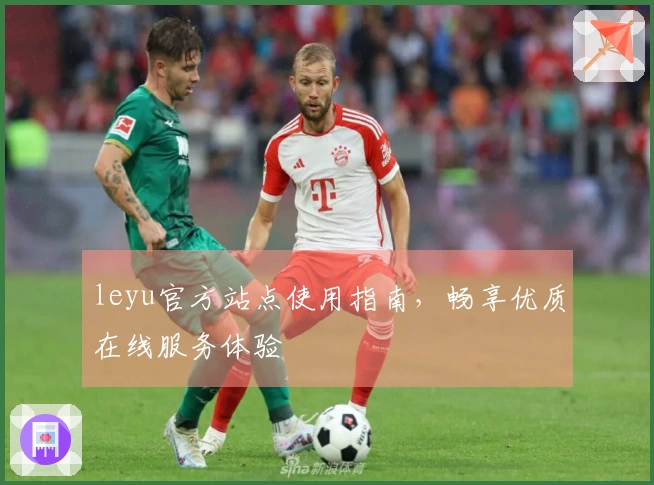 leyu官方站点使用指南，畅享优质在线服务体验