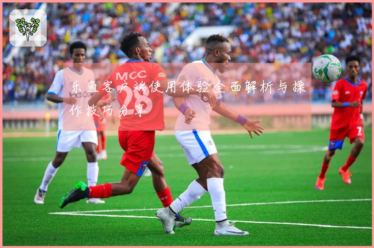 乐鱼客户端使用体验全面解析与操作技巧分享