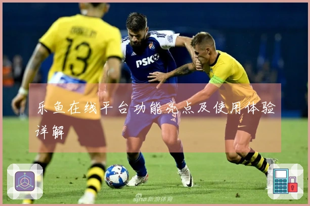 乐鱼在线平台功能亮点及使用体验详解