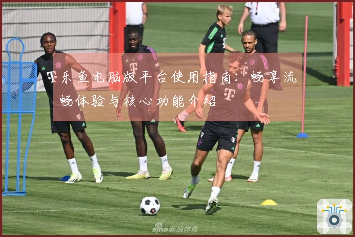 乐鱼电脑版平台使用指南：畅享流畅体验与核心功能介绍