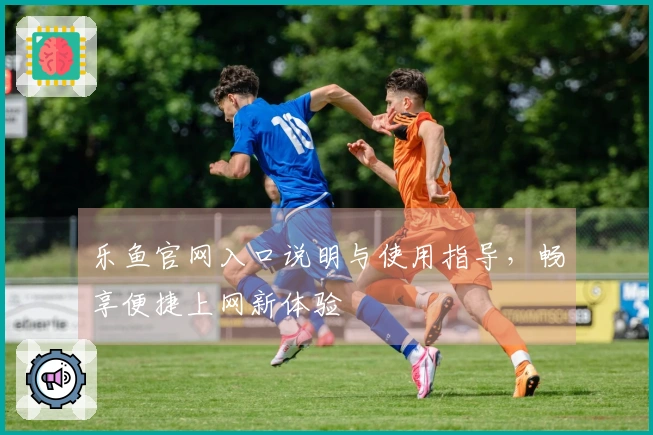 乐鱼官网入口说明与使用指导，畅享便捷上网新体验